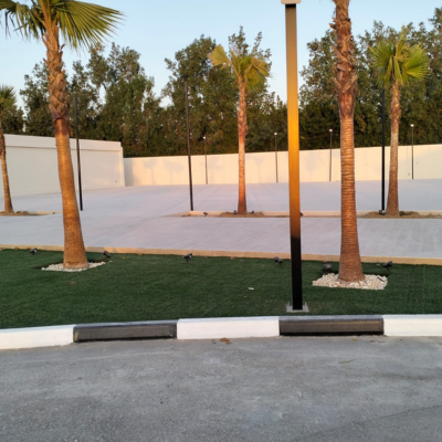 Xeriscape Desert Garden